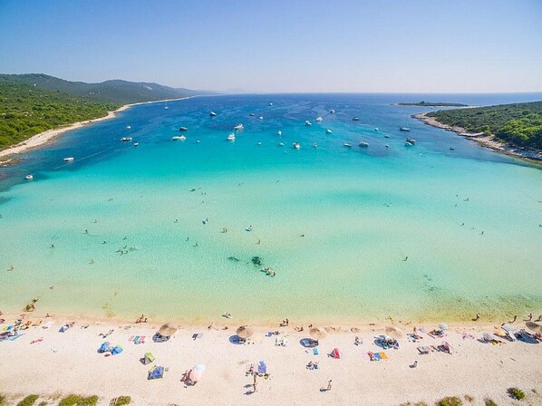 Beach nearby - Apartment Zvonko, (16323), Veli Rat, hr (Veli Rat)