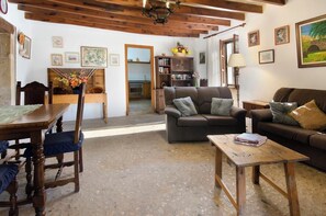 Televisor, llar de foc i reproductor de DVD 