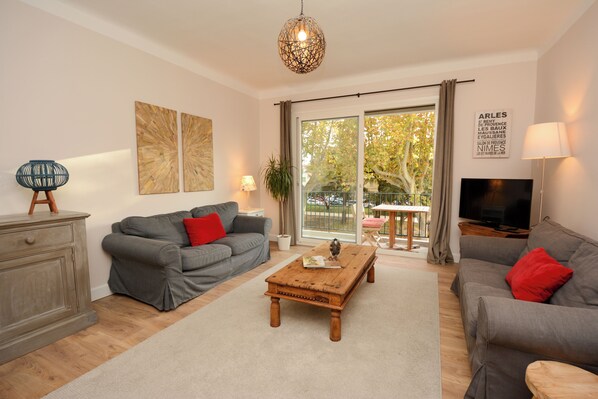 TV, books - Charming Renovated Apartment Near the Historic Center of Tarascon (Tarascon)