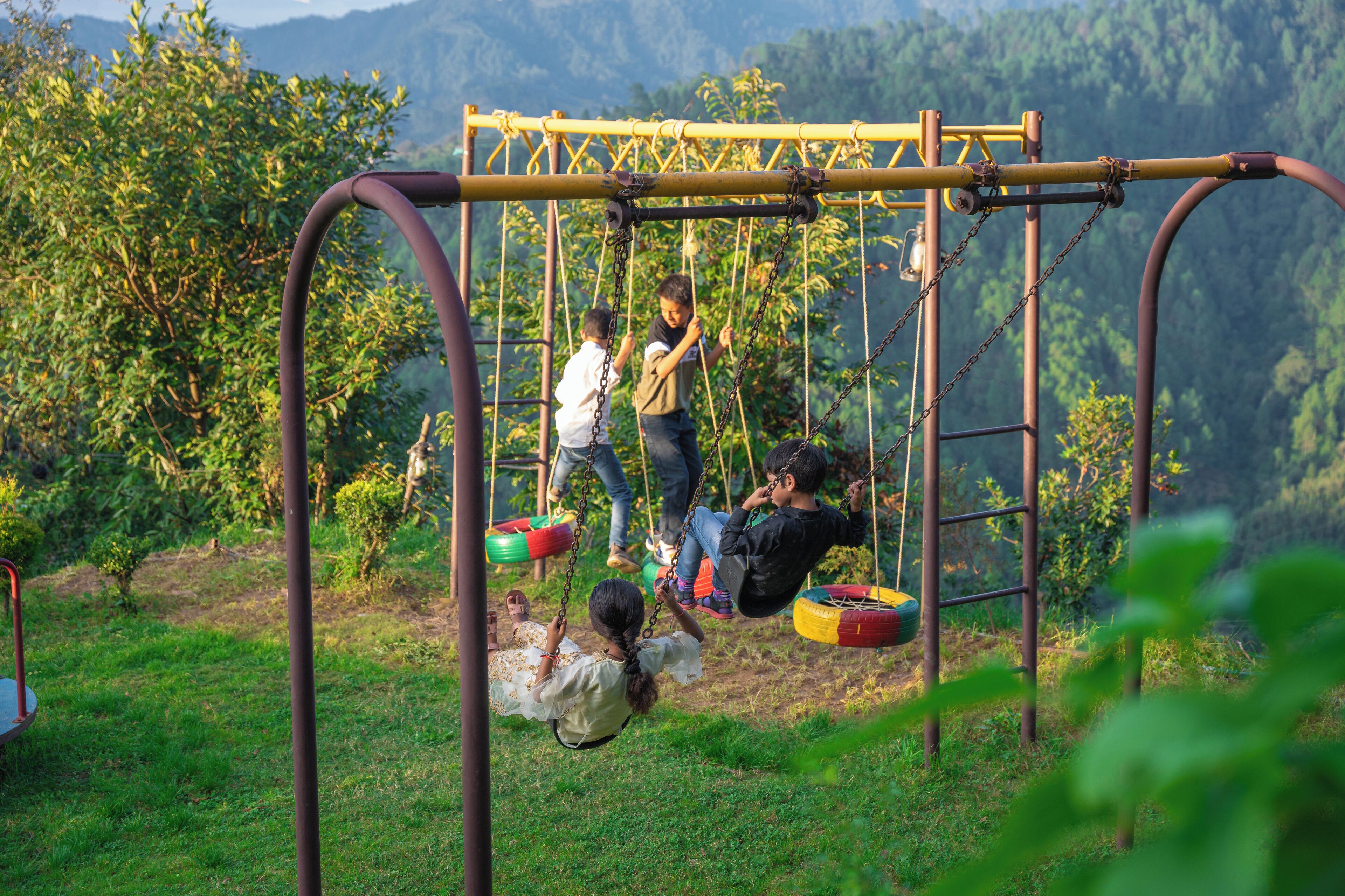 A playground with swings and tire swings, surrounded by greenery and trees.