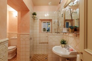 Shower, hair dryer, towels