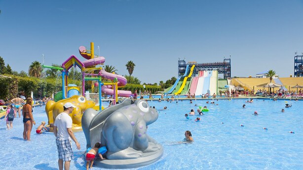 Un parque acuático con una gran piscina, toboganes y una estructura temática de delfines.