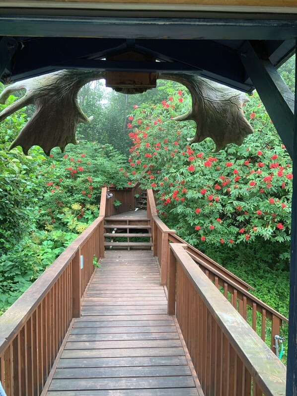 Terrain de l’hébergement 