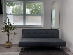 Smart TV, Netflix, streaming services