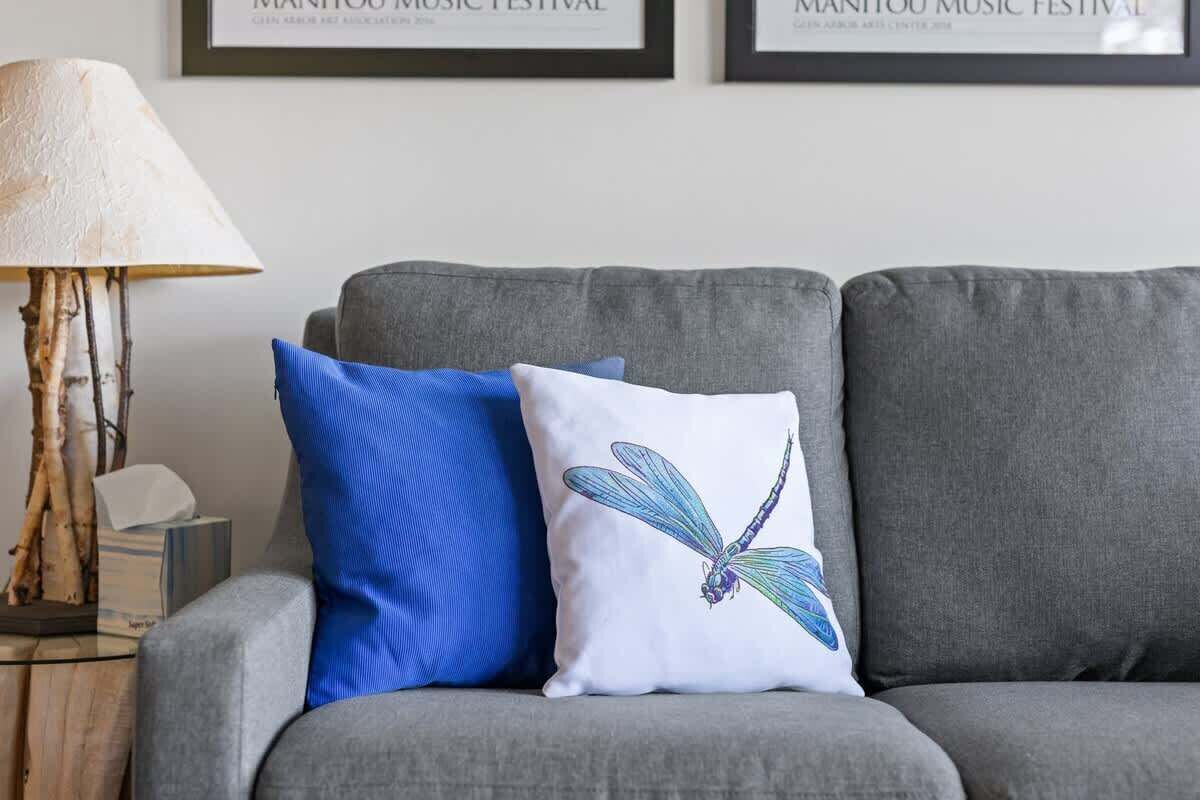 Dragonfly At The Homestead - Glen Arbor, MI