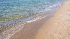 On the beach - Dragonfly at the Homestead (Glen Arbor)