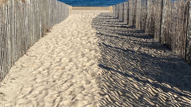 A sandy beach path leading to the sea, bordered by wooden fences. - Oceanside 2bed 2bath condo, close to beach & perfect for families! (Ocean City)