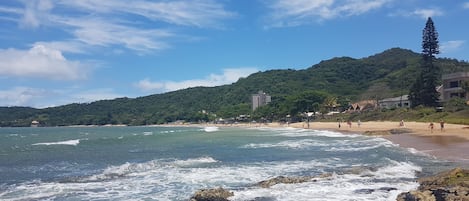 بالقرب من الشاطئ