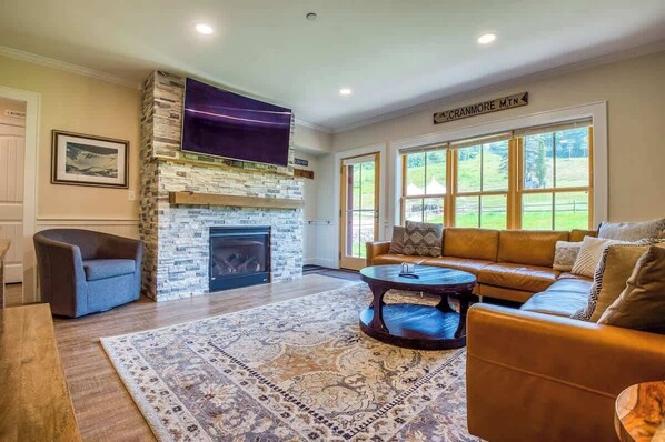 TV, fireplace, video games, books