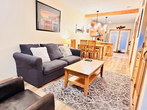 Smart TV, fireplace, books