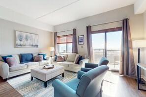 TV, fireplace, DVD player, books