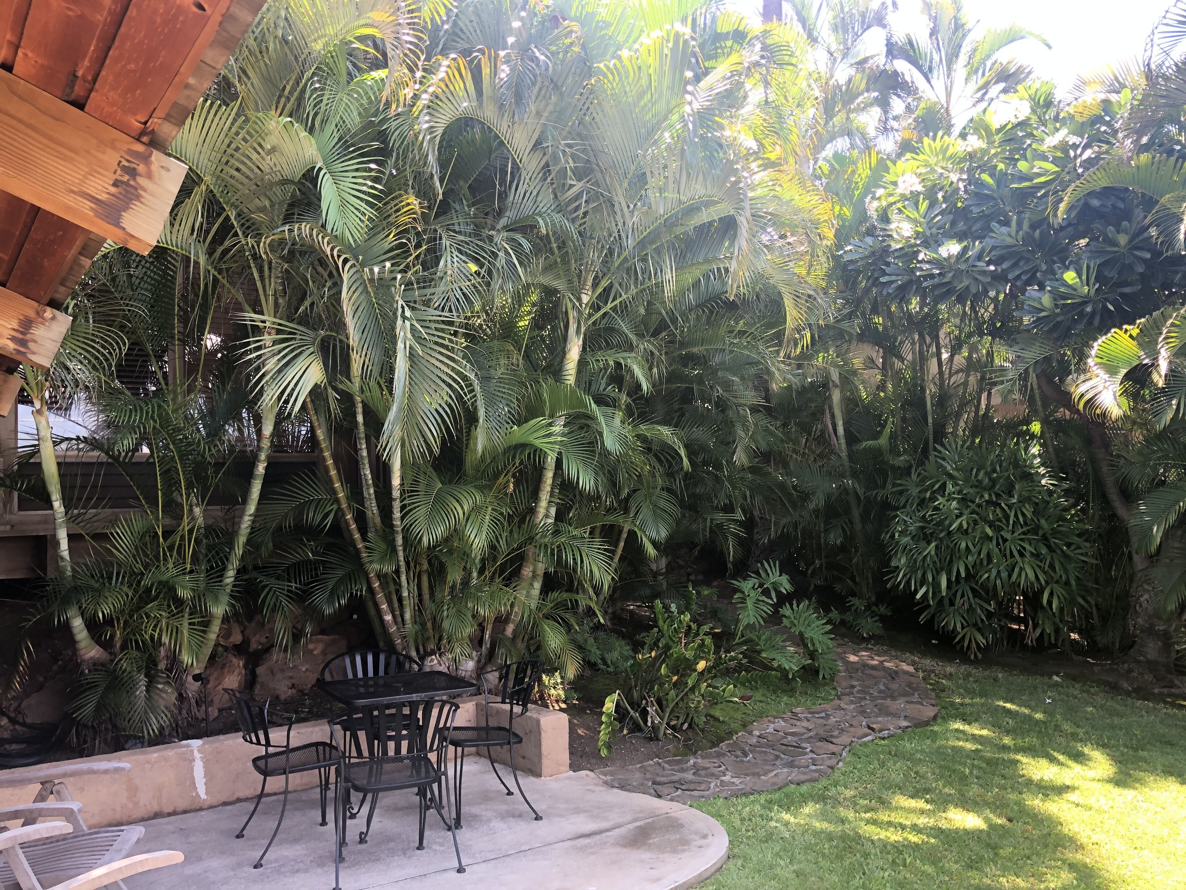 Make Maui Your Home For Months!n1 Bedroom 1 Bath Cottage 1/2 Mile Walk