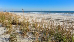 A beach with sand dunes and sparse vegetation. - Beautiful ocean & beach views, oceanfront condo w/pool, sundeck, family friendly-North Myrtle Beach (North Myrtle Beach)