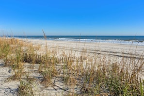 Ein Strand mit Dünen und spärlicher Vegetation.