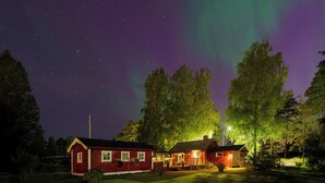 Eksteriør