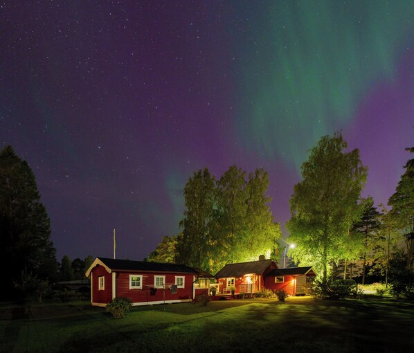 Eksteriør