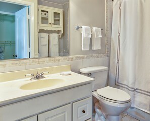 Combined shower/bathtub, towels, soap, toilet paper