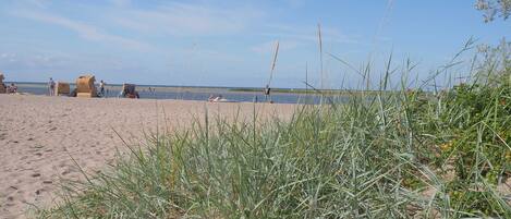 Una playa cerca