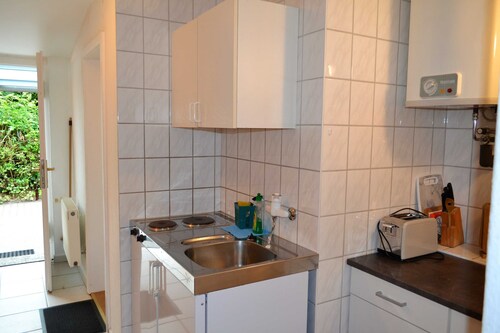 Gray donkey E2 - Will & Seemann GbR