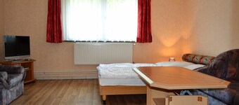 Gray donkey E2 - Will & Seemann GbR