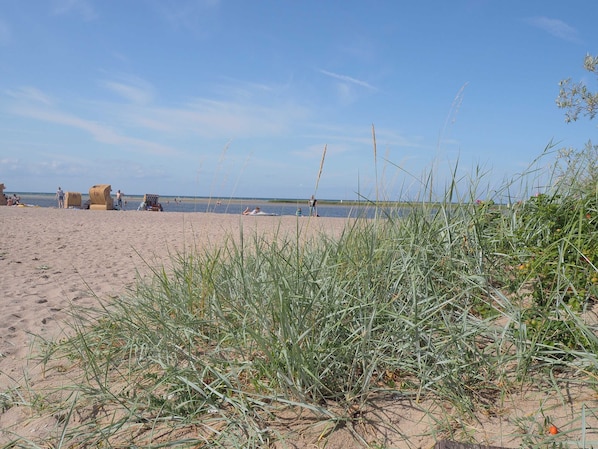 Vlak bij het strand