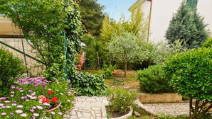 Un jardin avec un chemin de pierres, différentes plantes et un petit arbre.