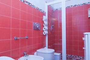 Shower, hair dryer, bidet, towels