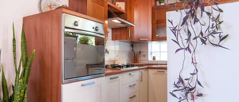Frigorífic, forn, placa de cuina i bullidora elèctrica