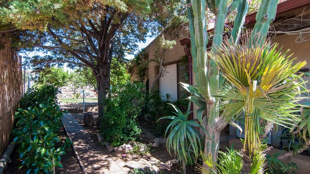 A garden with a variety of plants, a stone pathway, and a building with a red roof. - Villa Bruffalori (Scicli)