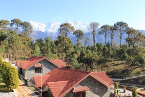 Exterior - A Cottage for Solitary Nature Lovers amidst Jungles, Mountains and Tea Gardens (Darati)