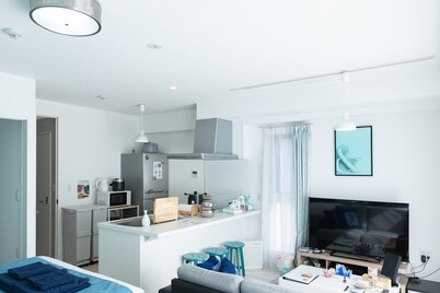 1LDK 50 Japan Hinata 1 Tiffany blue Room  / Nagoya Aichi