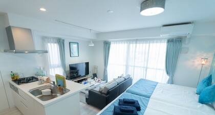 1LDK 50 Japan Hinata 1 Tiffany blue Room / Nagoya Aichi