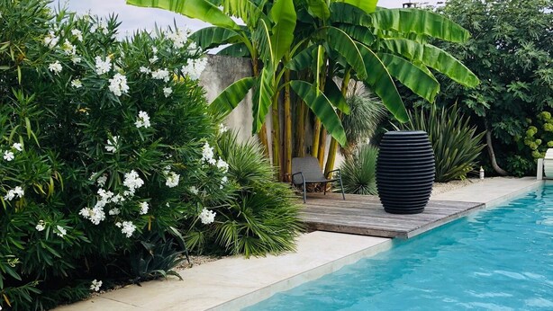 Une piscine dotée d’une terrasse en bois, entourée d’une végétation luxuriante et de fleurs blanches.