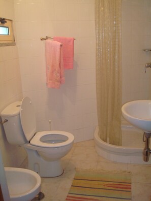 Shower, hair dryer, bidet, towels