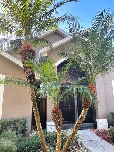 ☀️🌴Award-Winning Golf, Disney/Universal, Pool, Clubhouse/Gated Community 🌴☀️