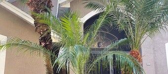 ☀️🌴Award-Winning Golf, Disney/Universal, Pool, Clubhouse/Gated Community 🌴☀️