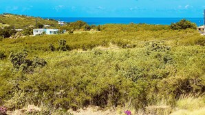 Ett kustlandskap med fri utsikt över havet, några få byggnader och tät vegetation.