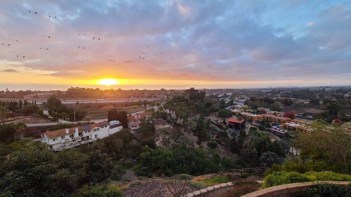Imagen de perfil del propietario o de la propietaria