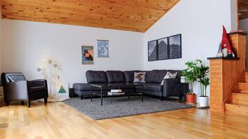 Smart TV, fireplace, DVD player, books