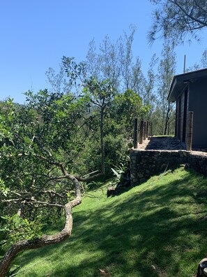 Área da propriedade