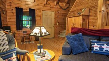 TV, fireplace, DVD player, books