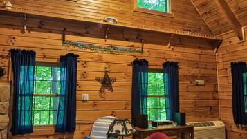 TV, fireplace, DVD player, books