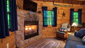 TV, fireplace, DVD player, books