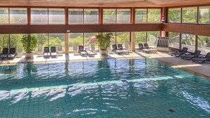 Una piscina interior con agua cristalina, rodeada de sillones de descanso y plantas en macetas.