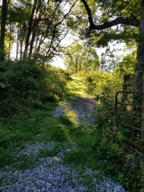 Overnattingsstedets uteområder