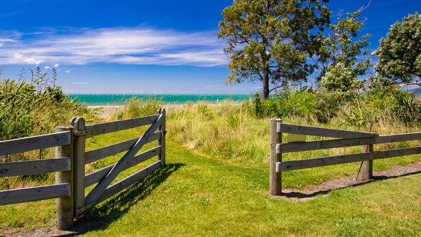 Een houten poort die uitkomt op een grasveld met uitzicht op de oceaan en een boom.