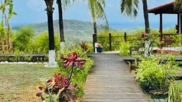 Área da propriedade