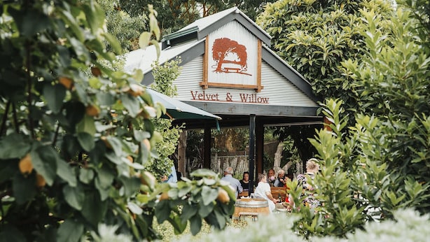 A cozy outdoor seating area with a sign reading "Velvet & Willow" under a green roof, surrounded by lush greenery.