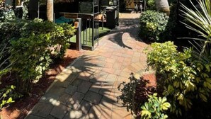 A pathway leading to a small structure with a roof, surrounded by lush greenery and palm trees. - Cozy Family Studio at Sheridan Guesthouse with Pool (Dania Beach)