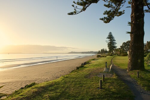 Orewa Kiwi Cabins - Fantail Cabin